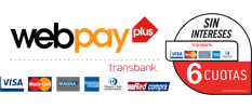 6 cuotas sin interés